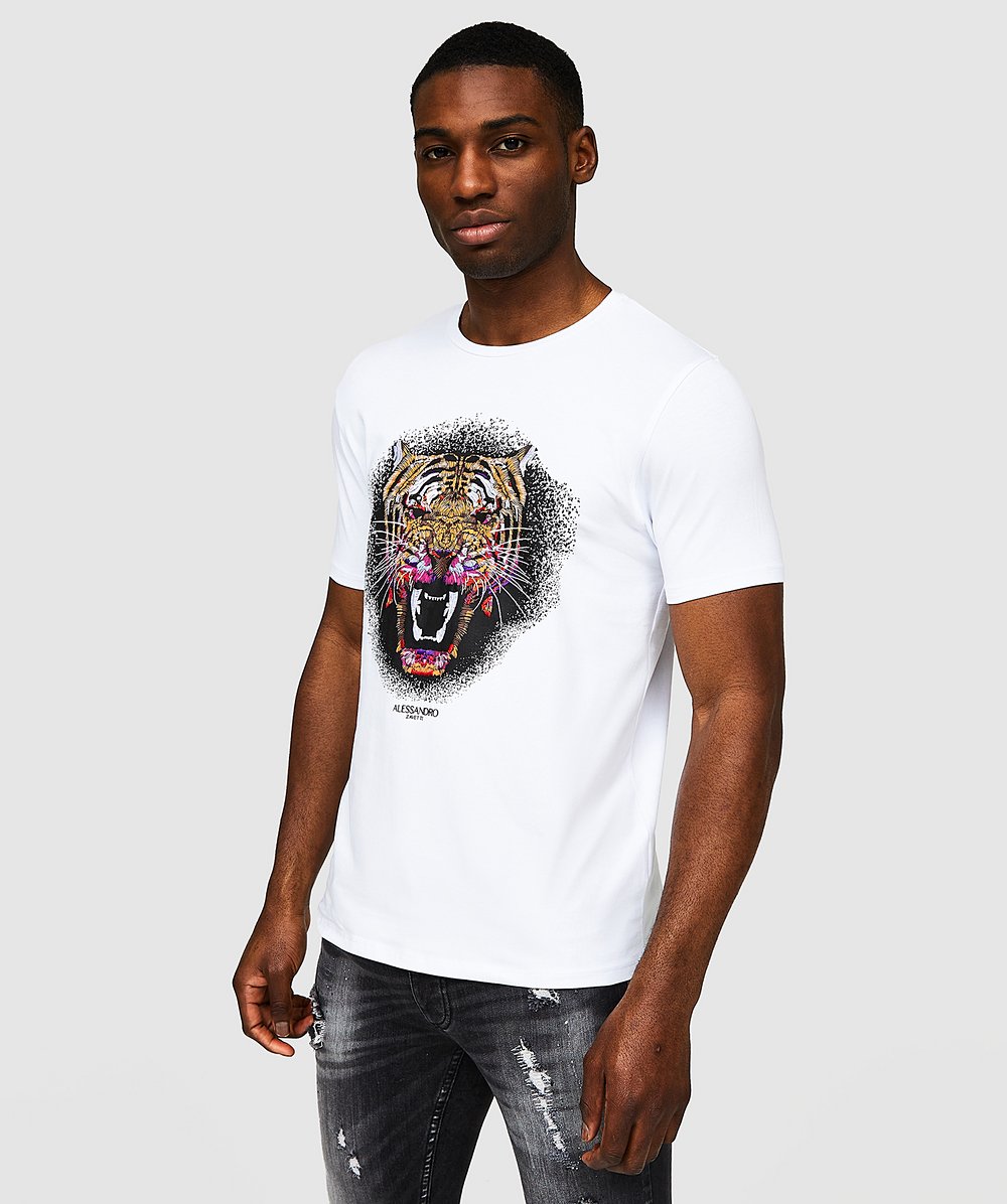 alessandro zavetti t shirt