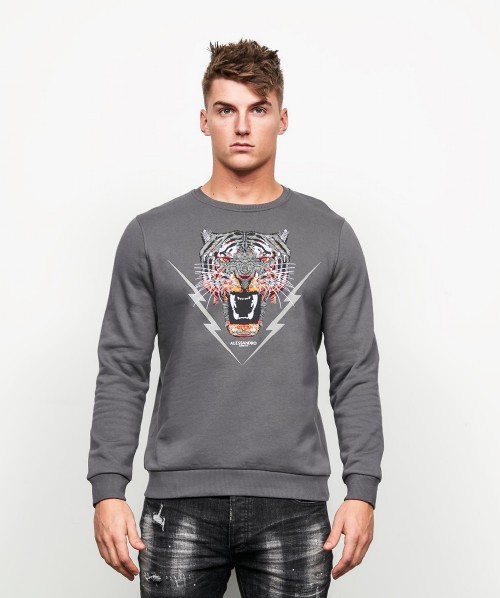 alessandro zavetti hoodie