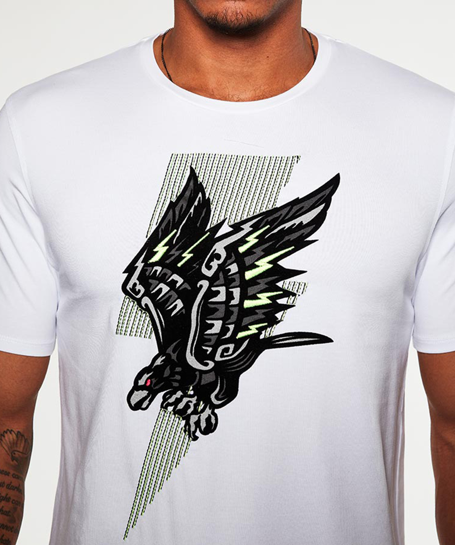 Diving Eagle T-Shirt