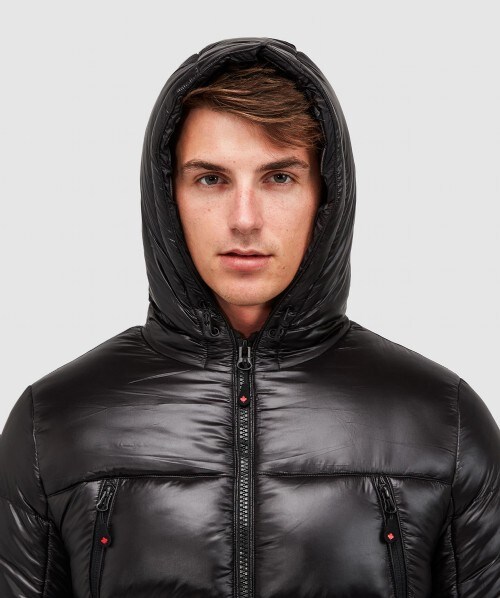 alessandro zavetti shiny puffer