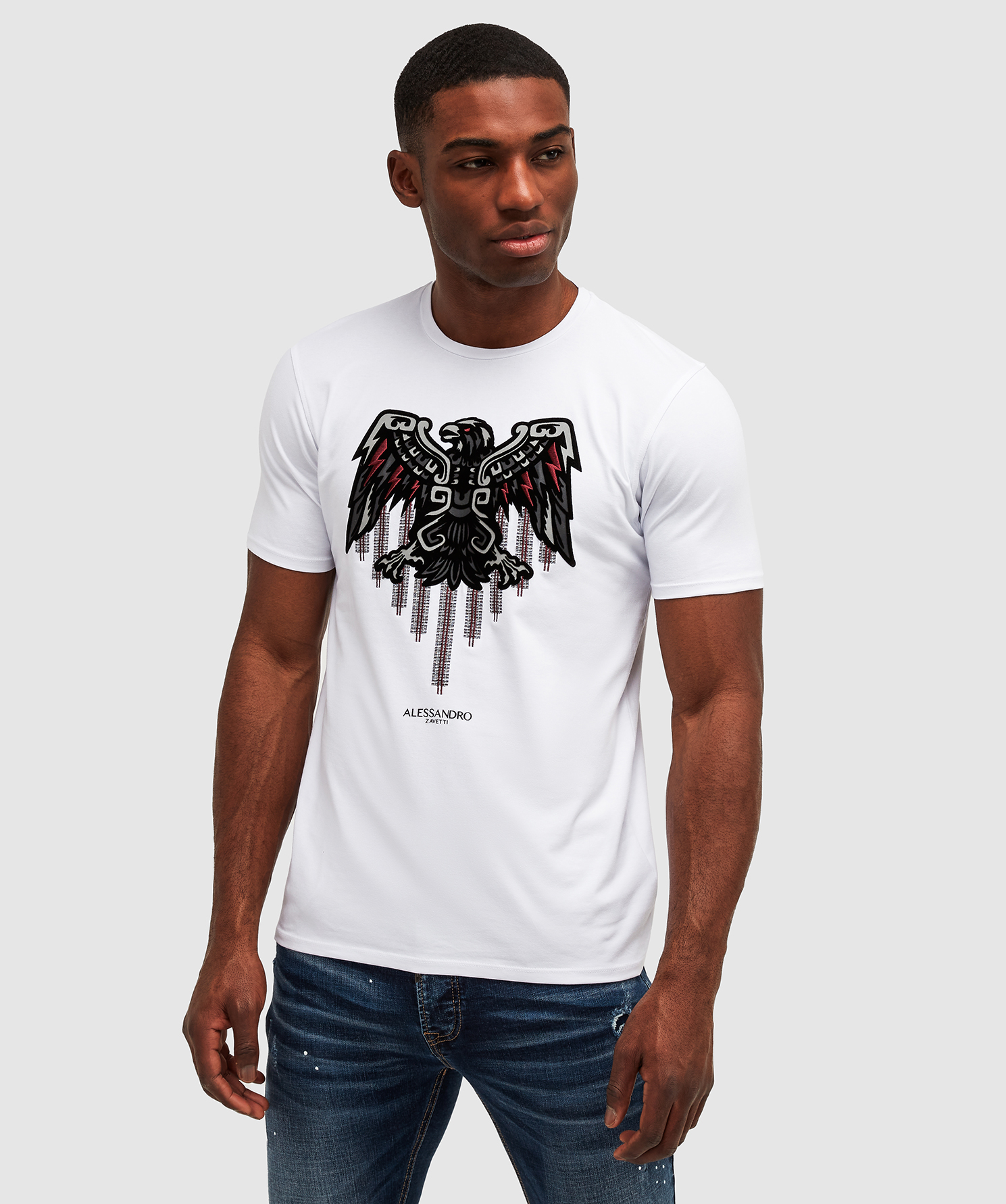 Aztec Stripe 3.0 T-Shirt