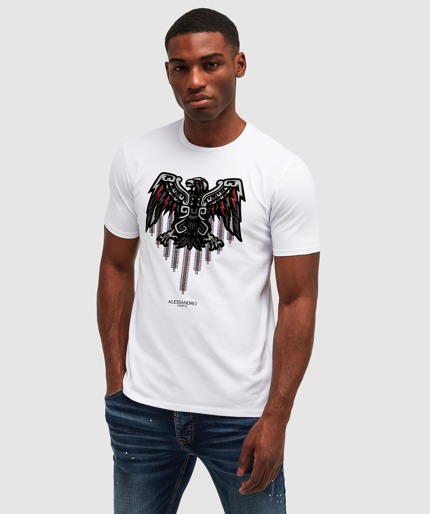 Aztec Stripe 3.0 T-Shirt