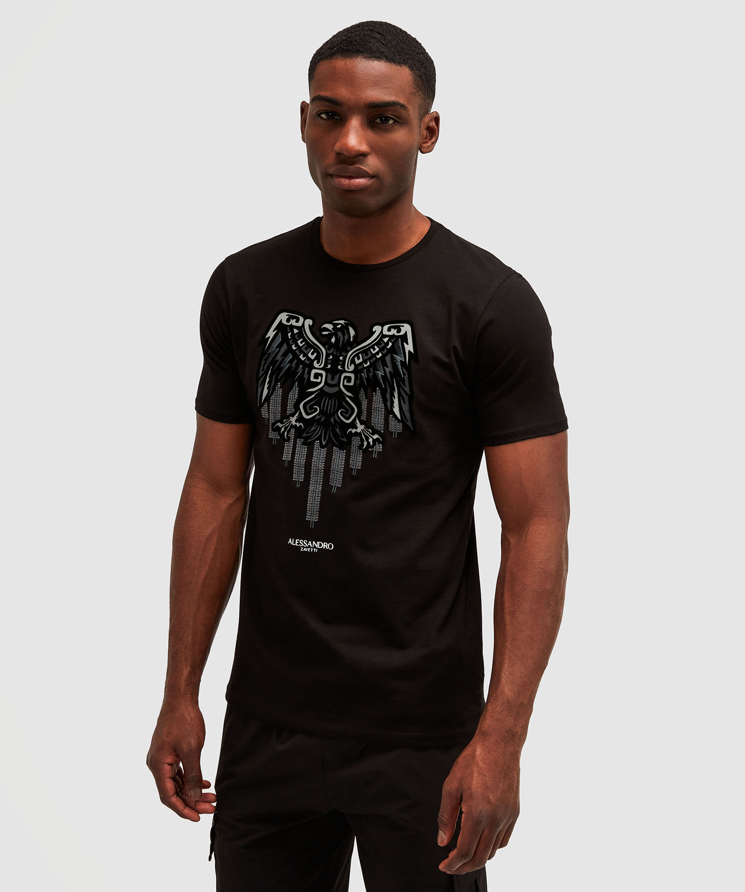 Aztec Stripe 3.0 T-Shirt